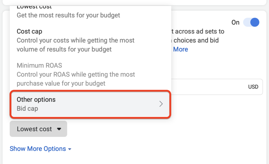 facebook-ads-bidding and budgetting